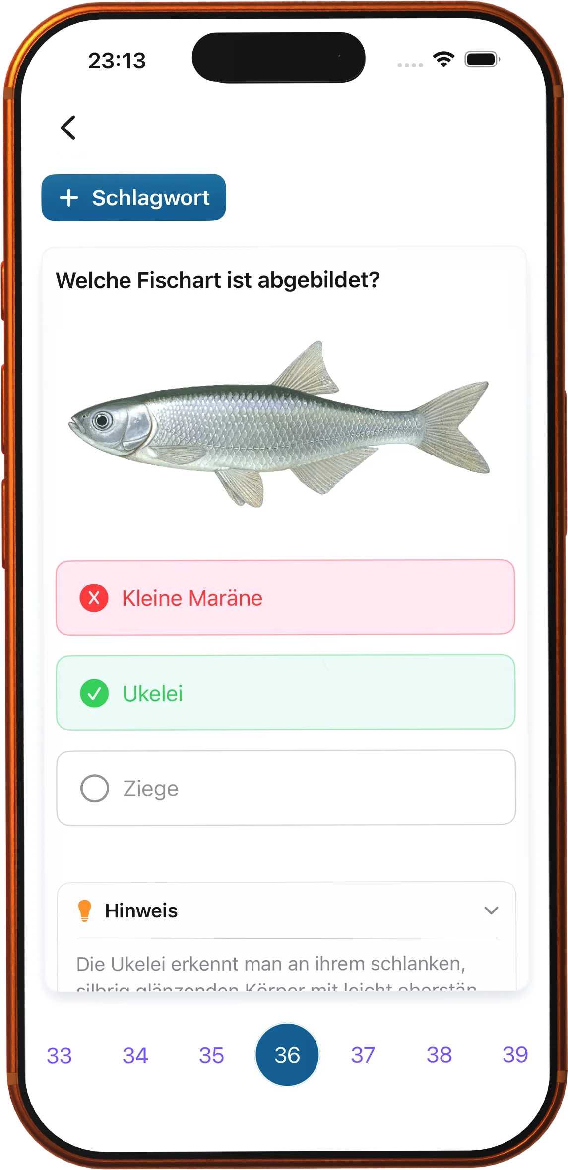 Fish identification with real photos